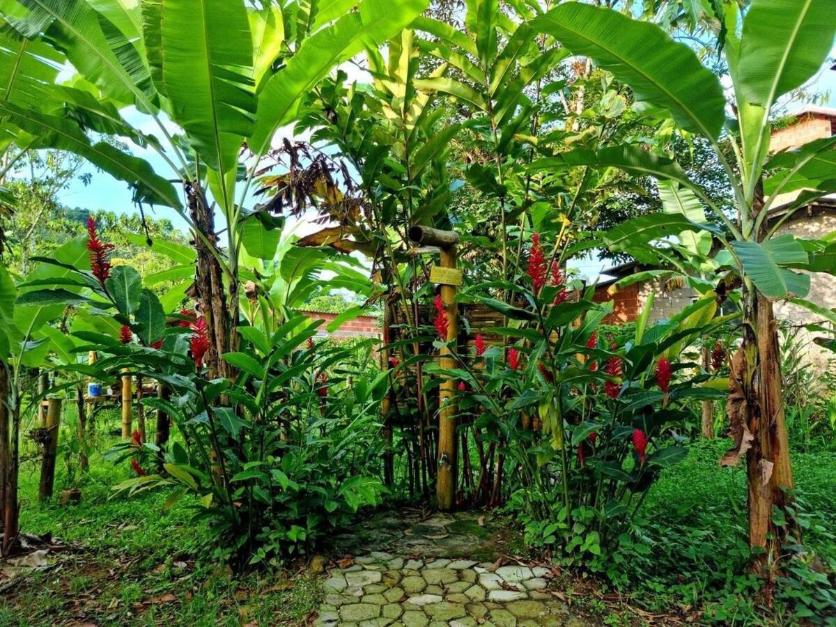 Cambuca Surf Skate Villa Ubatuba Eksteriør bilde